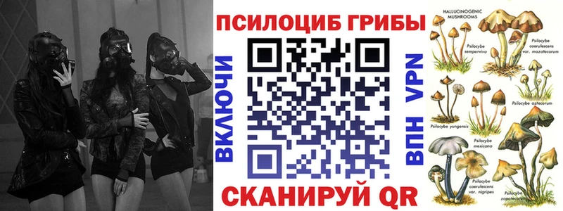 omg ССЫЛКА  как найти наркотики  Демидов  Галлюциногенные грибы Magic Shrooms 
